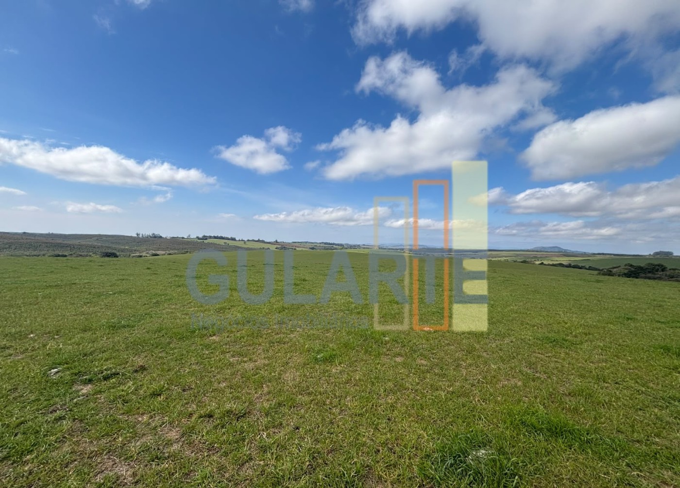Chácara, 141 hectares - Foto 4