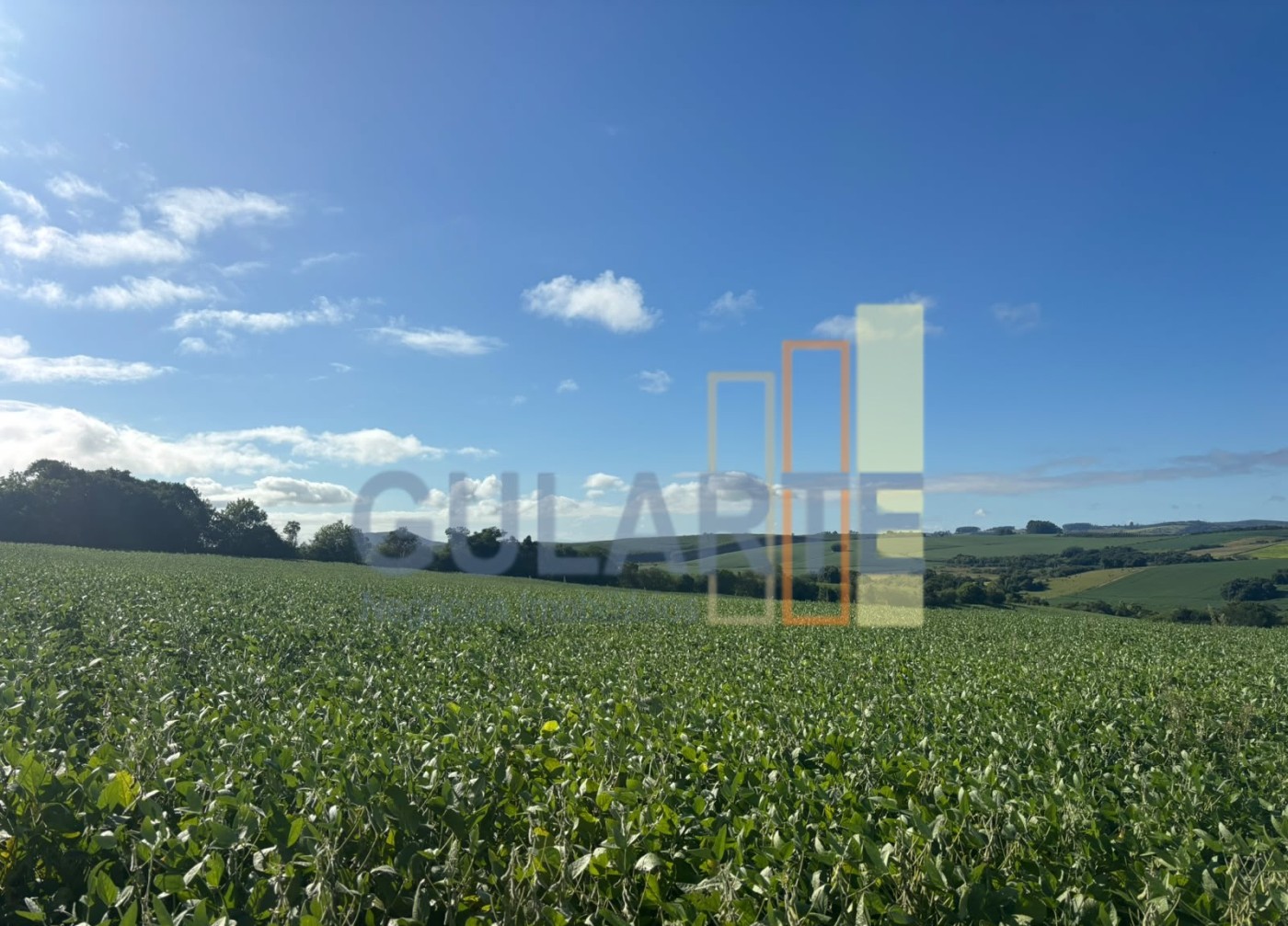 Chácara, 141 hectares - Foto 12
