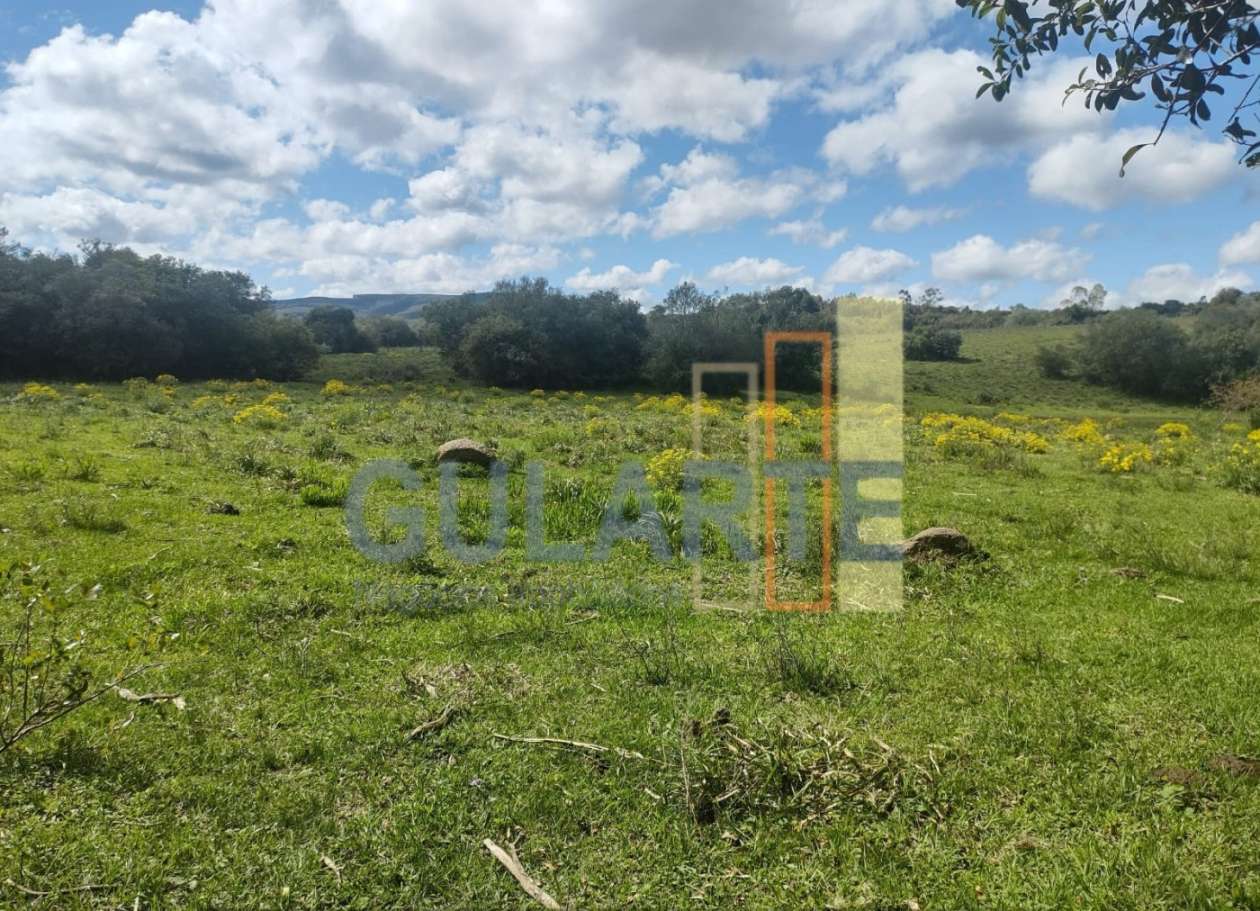 Fazenda, 292 hectares - Foto 2