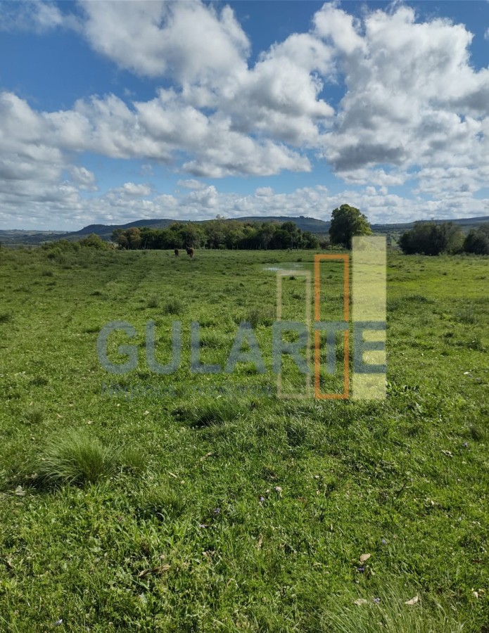 Fazenda, 292 hectares - Foto 3
