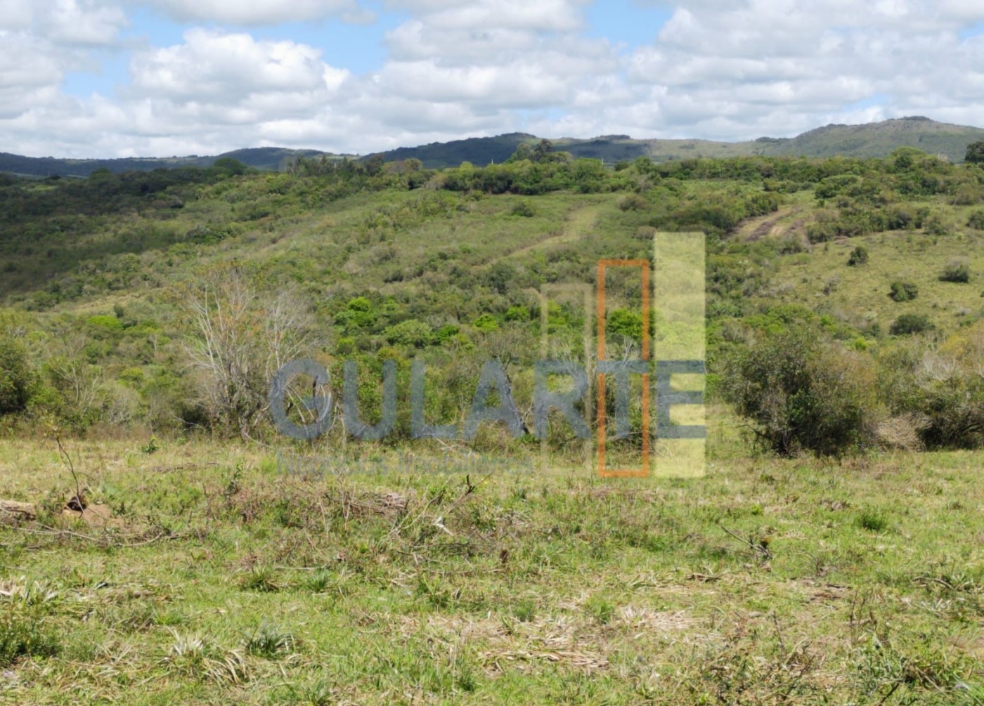 Fazenda, 292 hectares - Foto 4