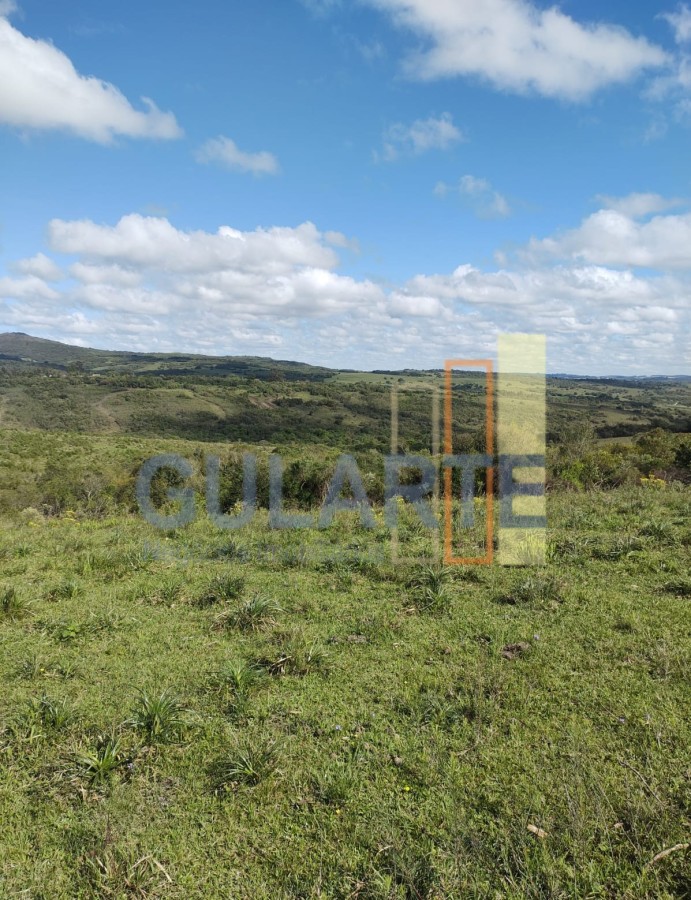 Fazenda, 292 hectares - Foto 6