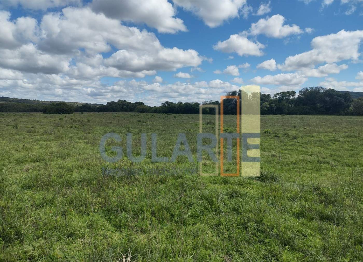 Fazenda, 292 hectares - Foto 1