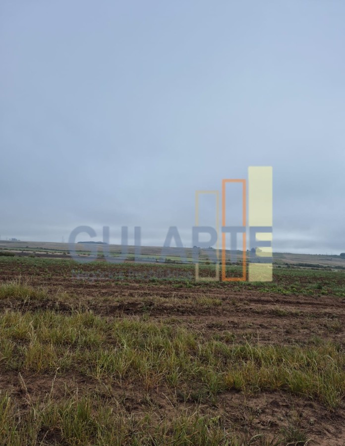 Chácara, 472 hectares - Foto 7