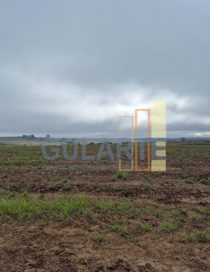 Chácara, 472 hectares - Foto 6
