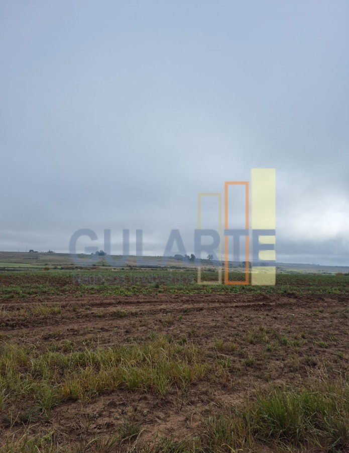 Chácara, 472 hectares - Foto 10