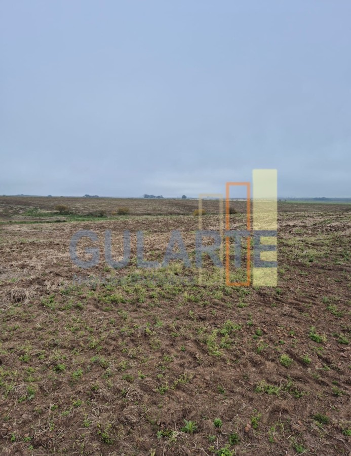 Chácara, 472 hectares - Foto 14