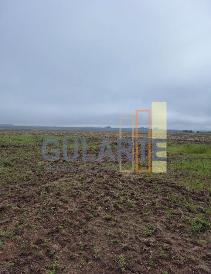Chácara, 472 hectares - Foto 12