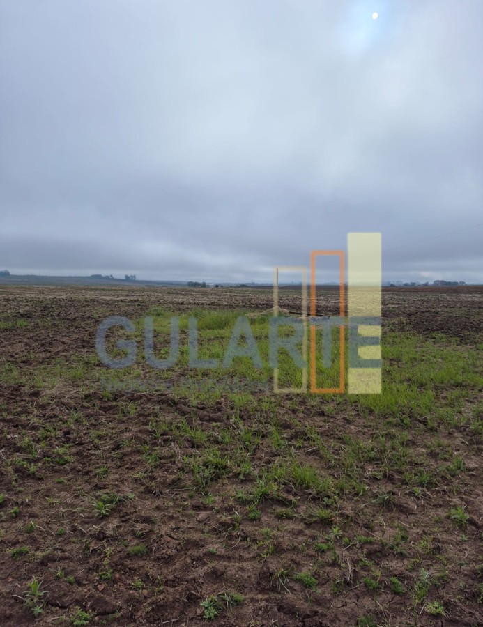 Chácara, 472 hectares - Foto 11