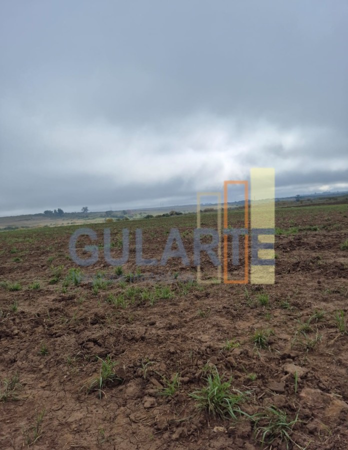 Chácara, 472 hectares - Foto 18
