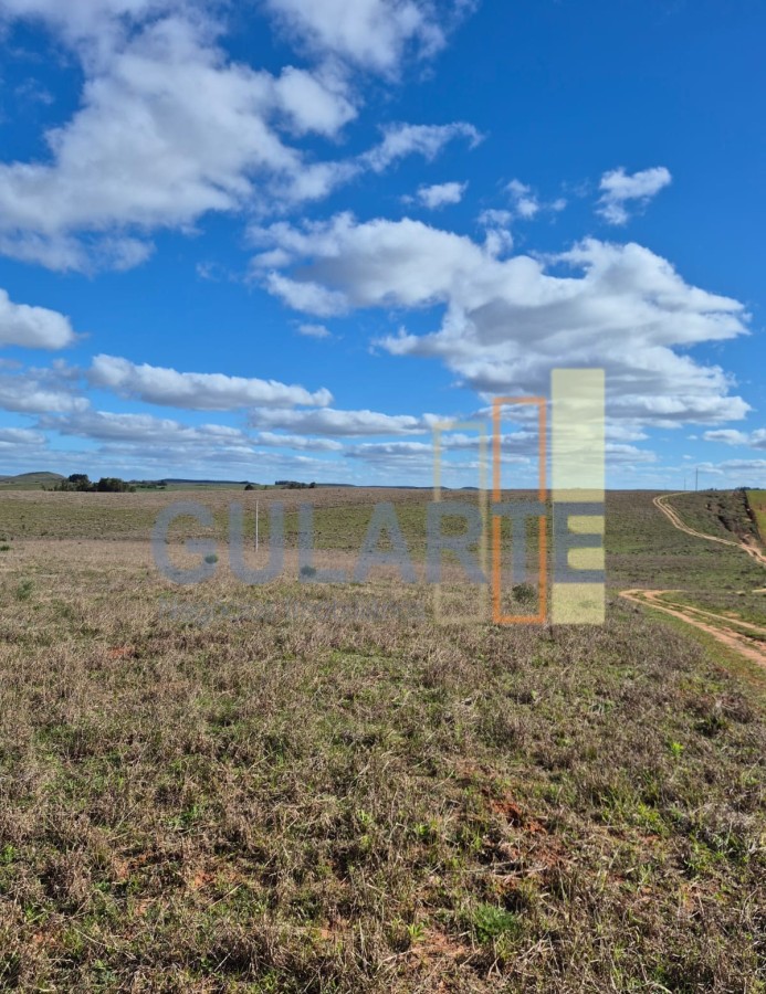 Chácara, 124 hectares - Foto 4