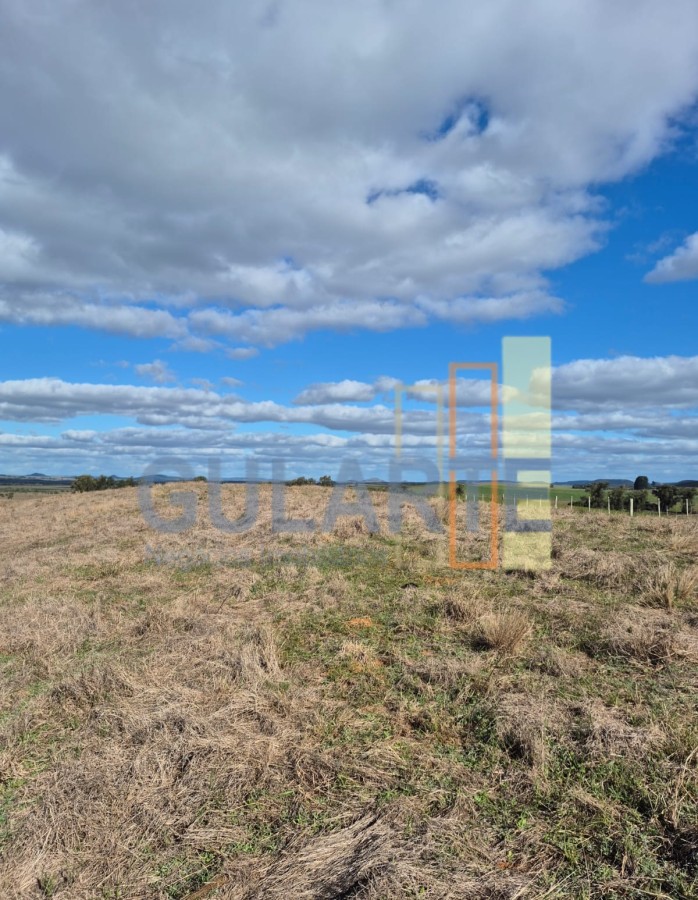 Chácara, 124 hectares - Foto 14