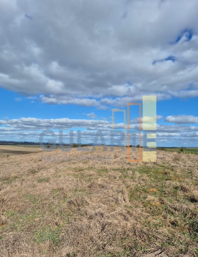 Chácara, 124 hectares - Foto 12