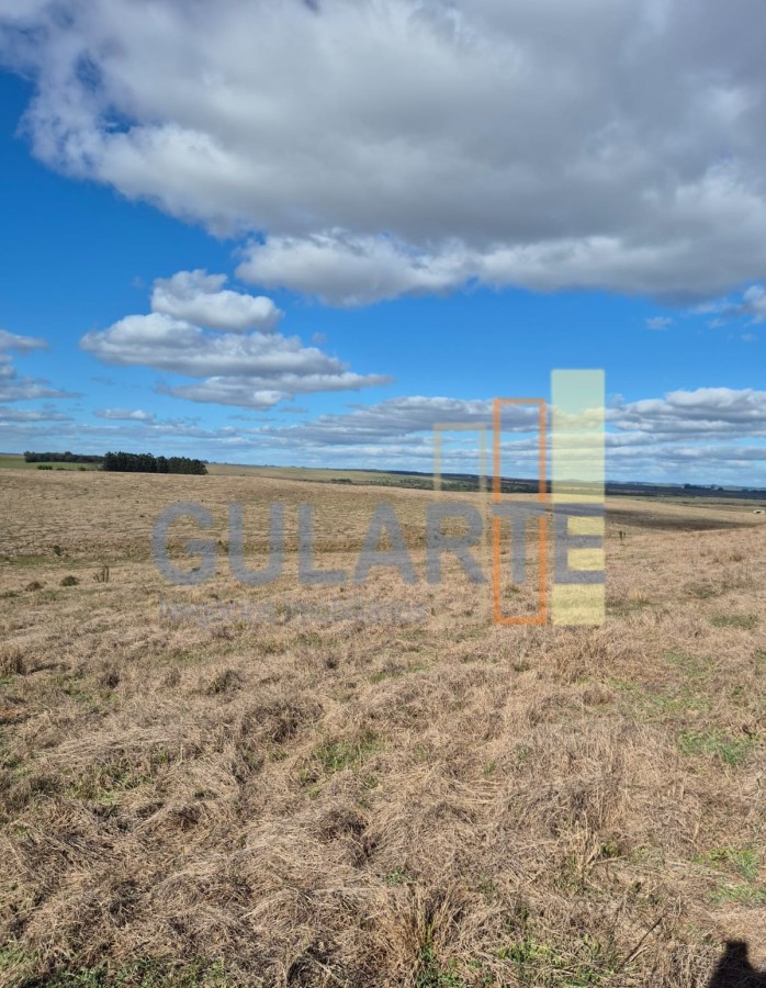 Chácara, 124 hectares - Foto 16