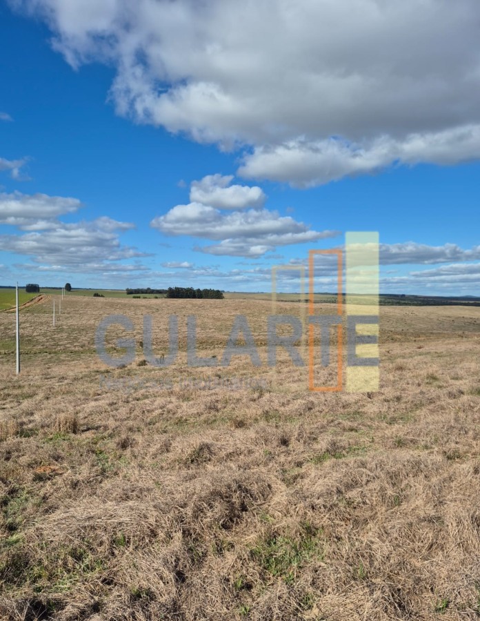 Chácara, 124 hectares - Foto 15