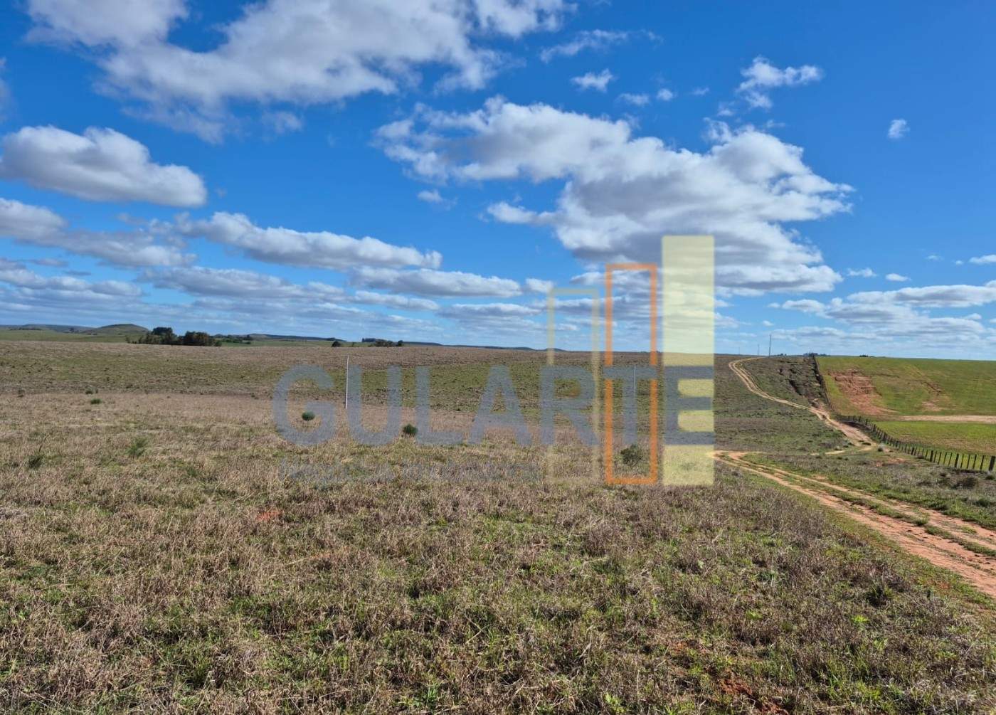 Chácara, 124 hectares - Foto 17