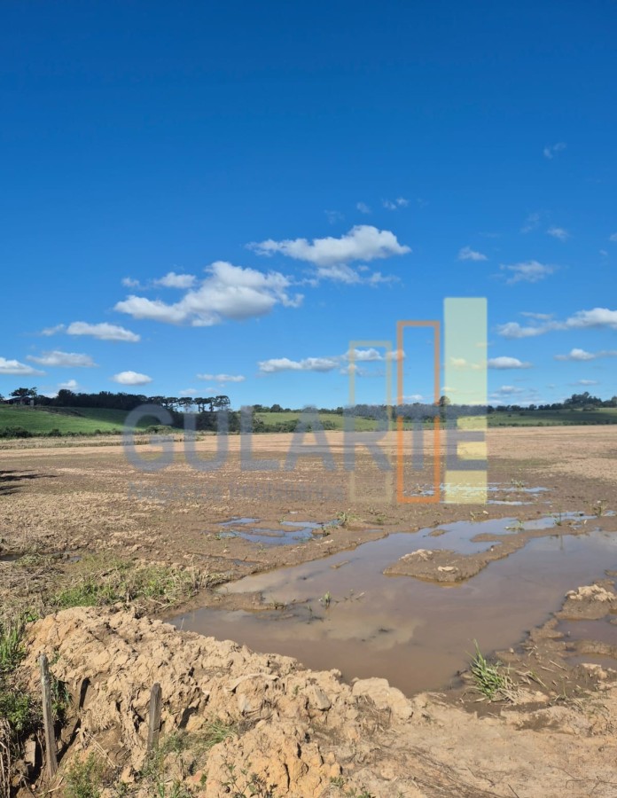 Chácara, 279 hectares - Foto 1
