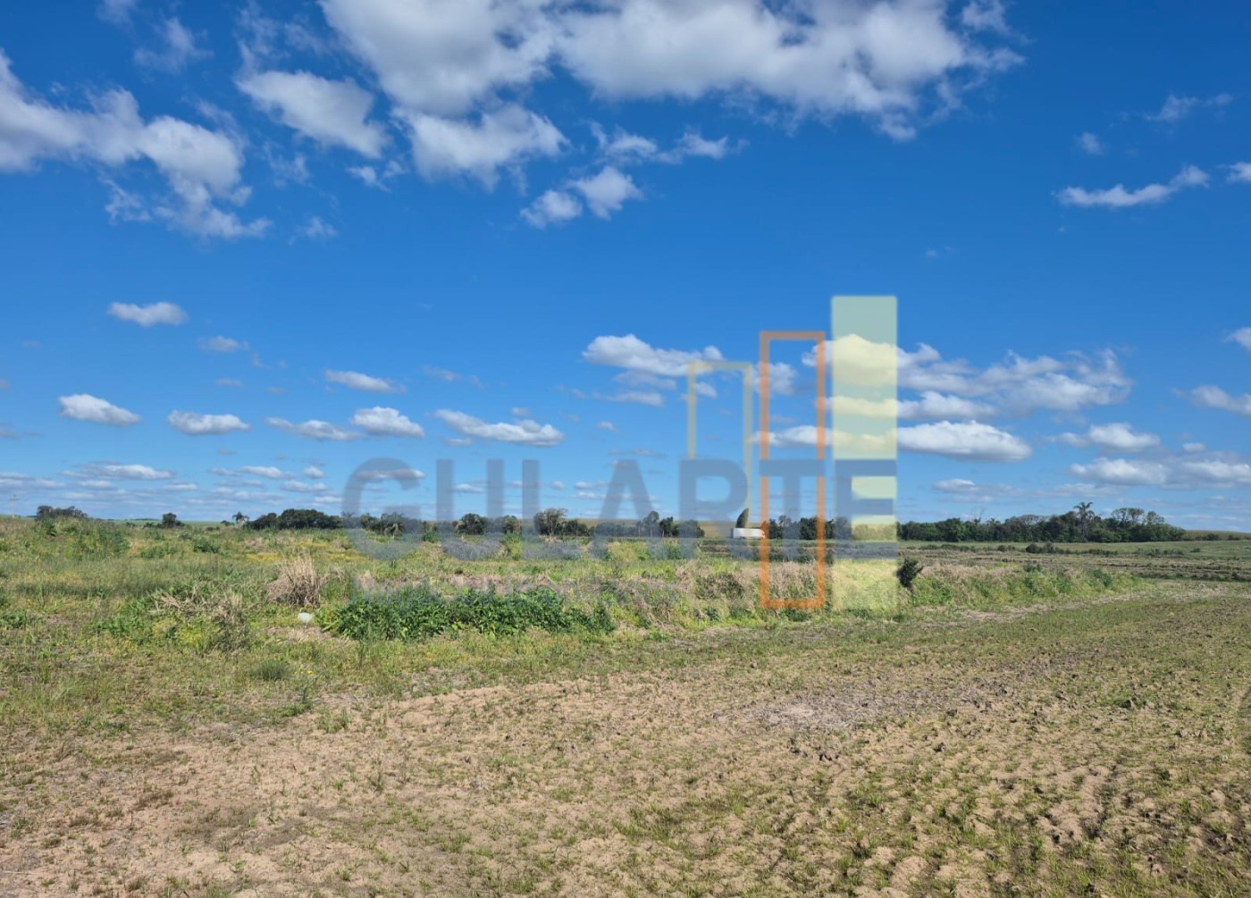 Chácara, 279 hectares - Foto 2
