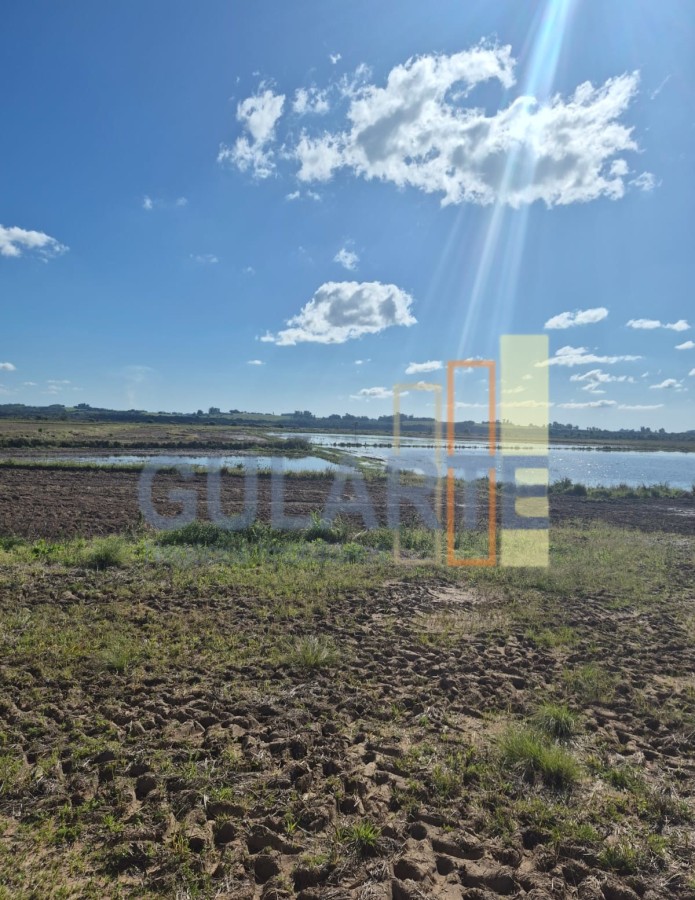 Chácara, 279 hectares - Foto 9