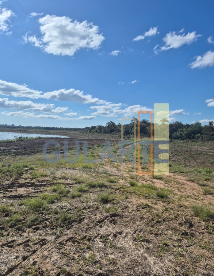 Chácara, 279 hectares - Foto 10