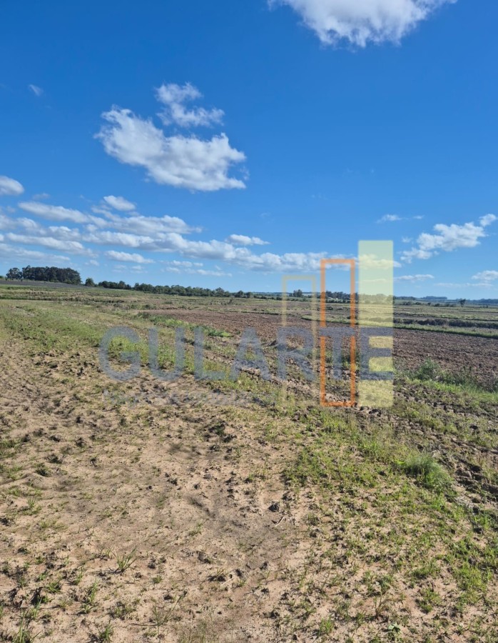 Chácara, 279 hectares - Foto 11