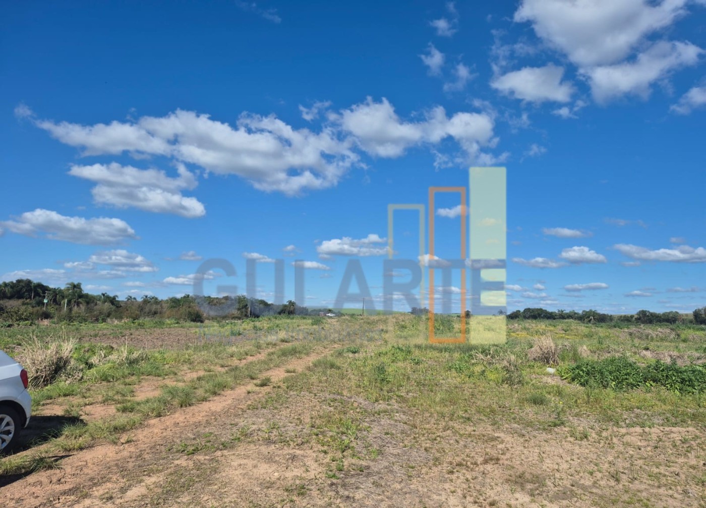 Chácara, 279 hectares - Foto 12