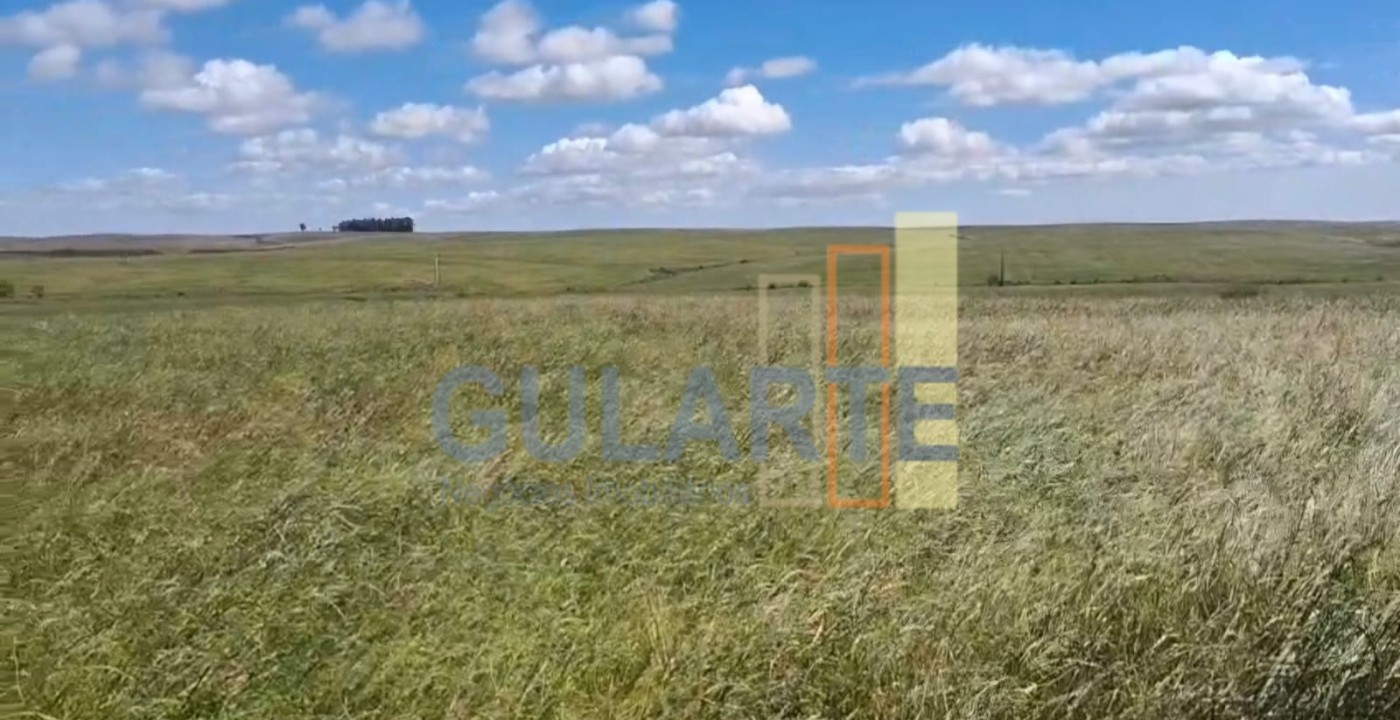 Chácara, 148 hectares - Foto 1