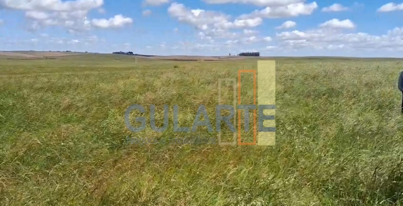 Chácara, 148 hectares - Foto 4