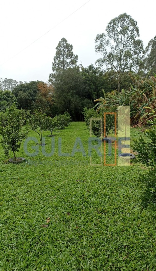 Chácara, 13 hectares - Foto 2