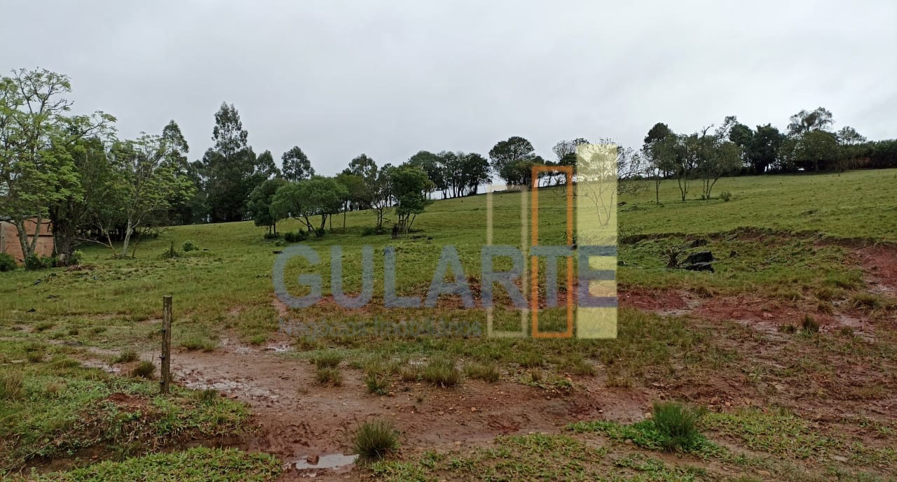 Chácara, 13 hectares - Foto 9