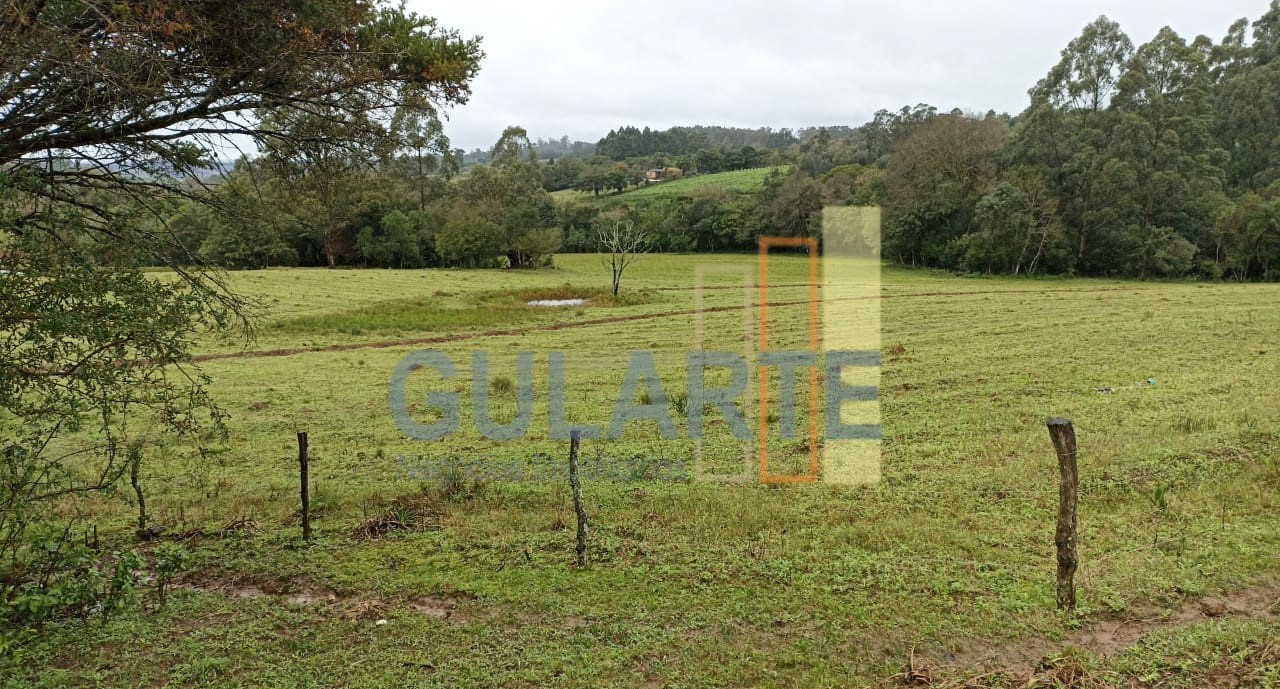 Chácara, 13 hectares - Foto 7