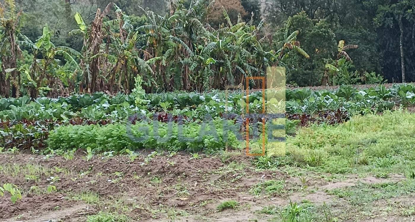 Chácara, 13 hectares - Foto 11