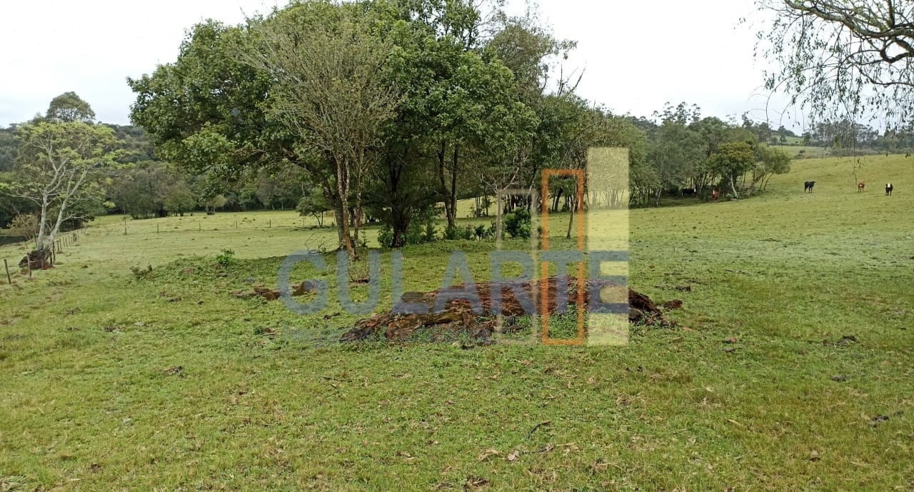 Chácara, 13 hectares - Foto 6