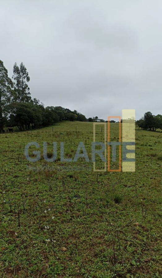Chácara, 13 hectares - Foto 10