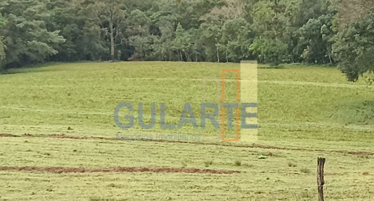 Chácara, 13 hectares - Foto 13
