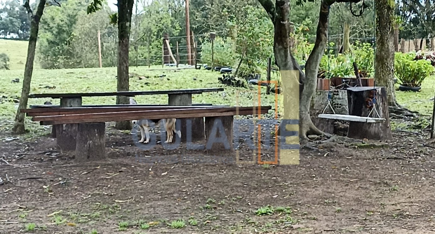 Chácara, 13 hectares - Foto 14