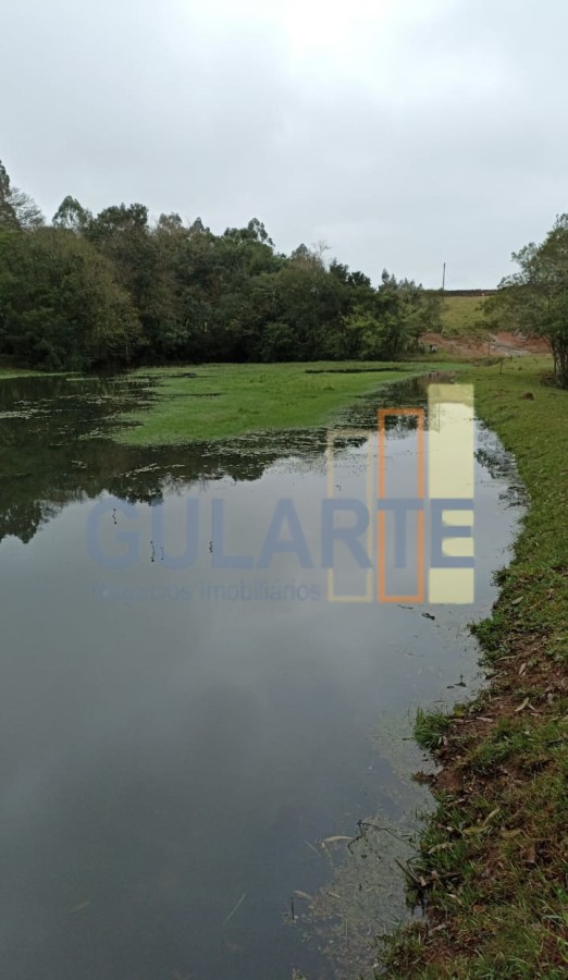 Chácara, 13 hectares - Foto 16