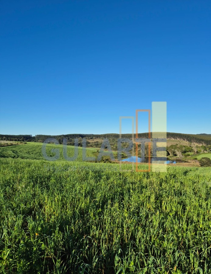 Fazenda, 63 hectares - Foto 1