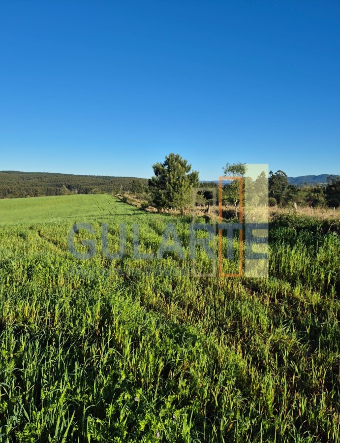 Fazenda, 63 hectares - Foto 2