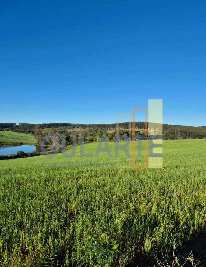 Fazenda, 63 hectares - Foto 6