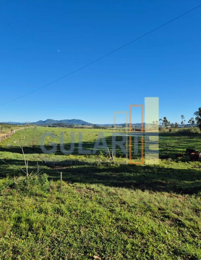 Fazenda, 63 hectares - Foto 7