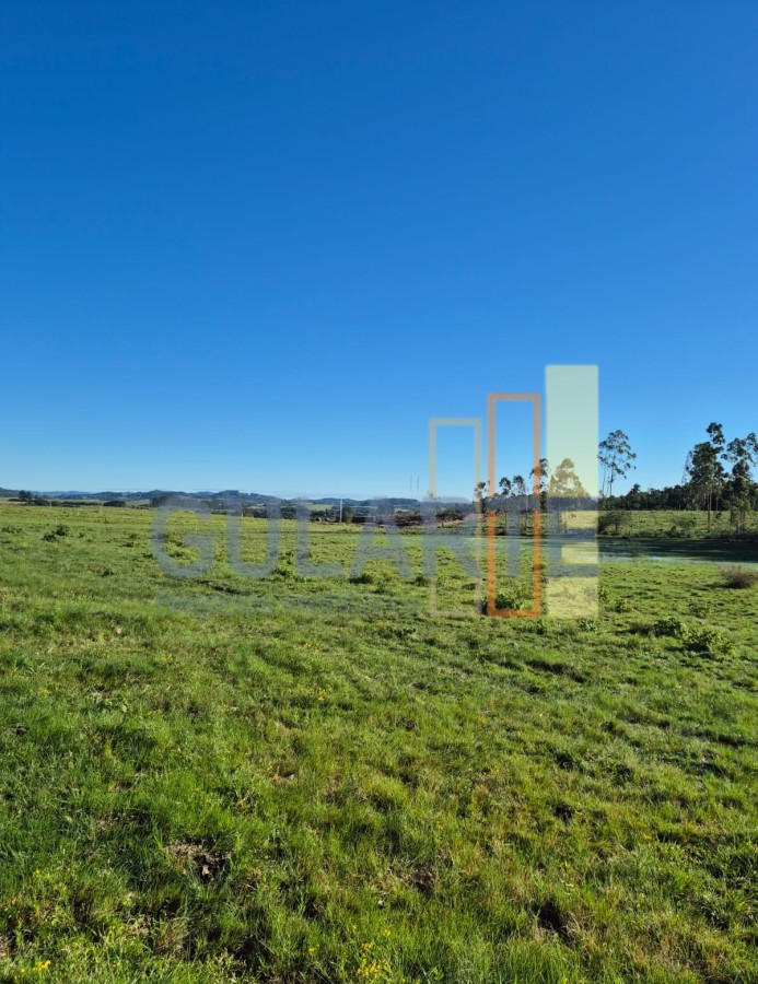 Fazenda, 63 hectares - Foto 9