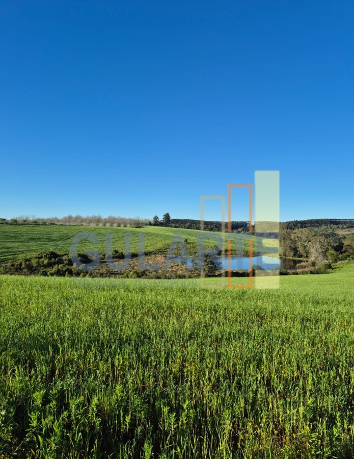 Fazenda, 63 hectares - Foto 8