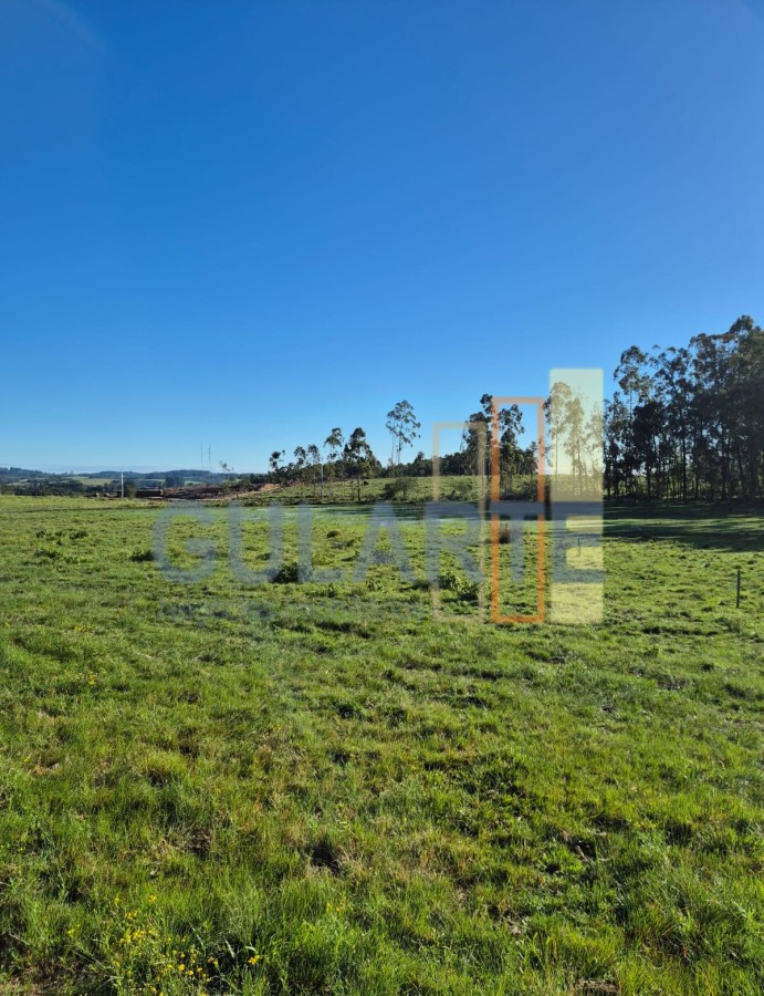 Fazenda, 63 hectares - Foto 10
