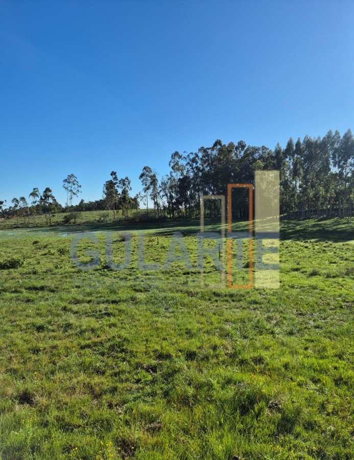 Fazenda, 63 hectares - Foto 11