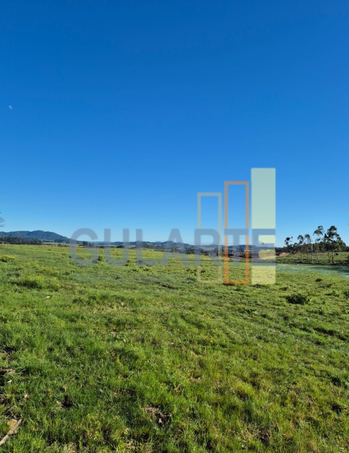 Fazenda, 63 hectares - Foto 13