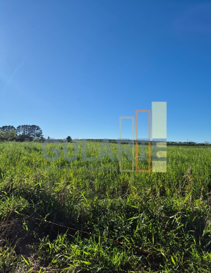 Fazenda, 63 hectares - Foto 12