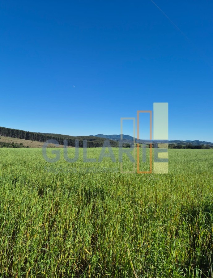 Fazenda, 63 hectares - Foto 14