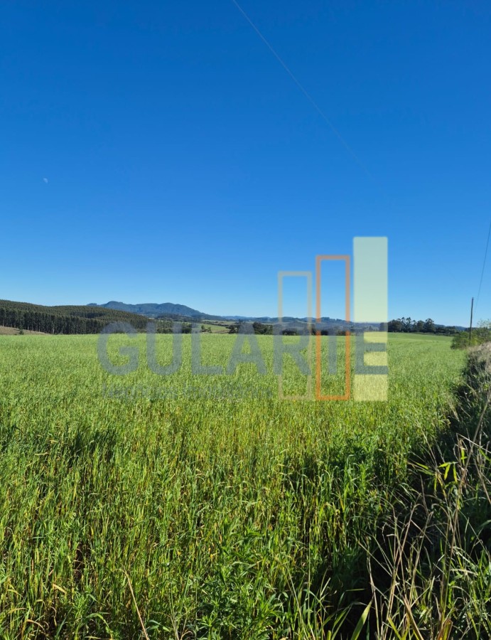 Fazenda, 63 hectares - Foto 15