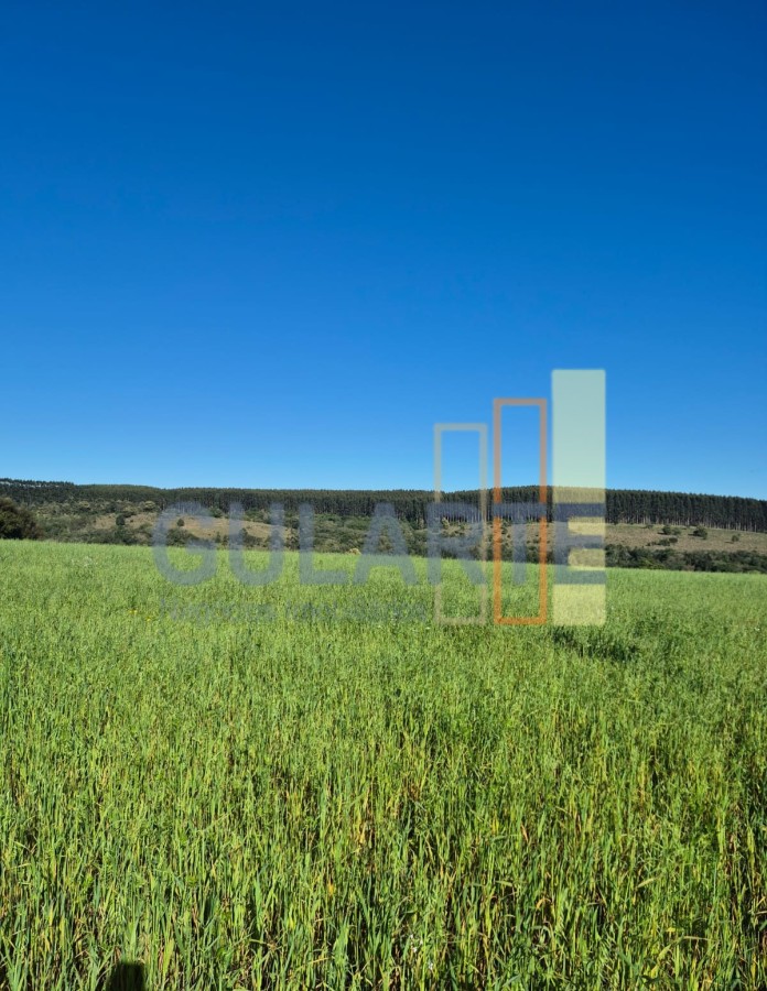 Fazenda, 63 hectares - Foto 17